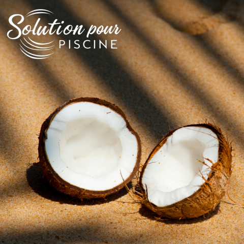 PARFUM LIFE NOIX DE COCO