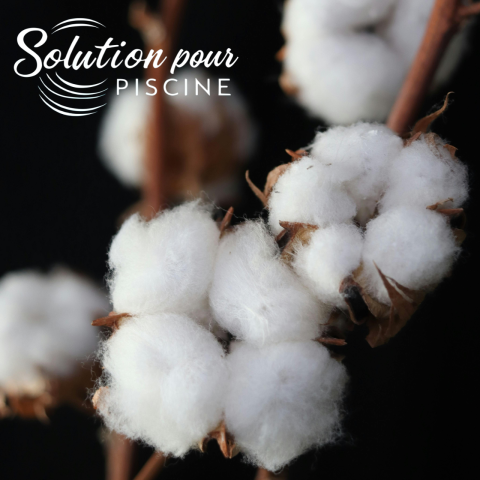 PARFUM LIFE FLEUR COTON