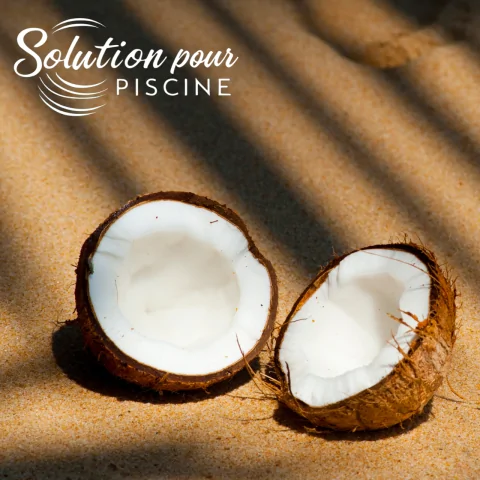PARFUM LIFE NOIX DE COCO